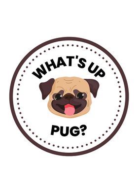 Whats Up Pug