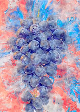 Grape Fruit Watercolor