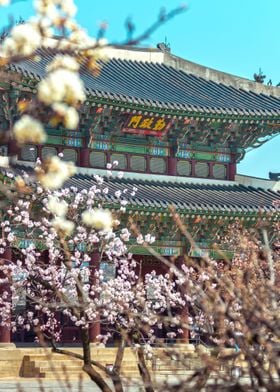 Gyeongbokgung 