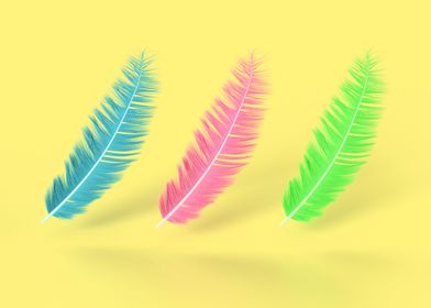 3 colourful Feathers