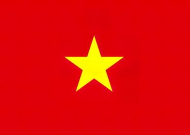 Vietnam Flag