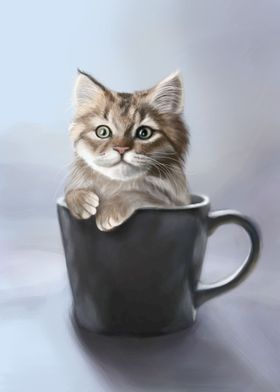 Teacup kitten