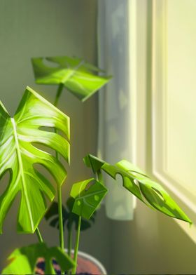 Monstera in Light