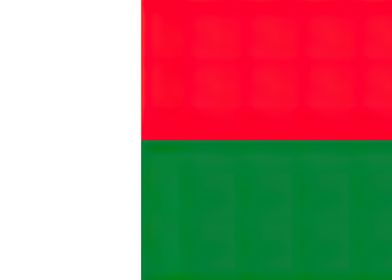 Madagascar Flag