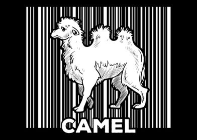 Camel