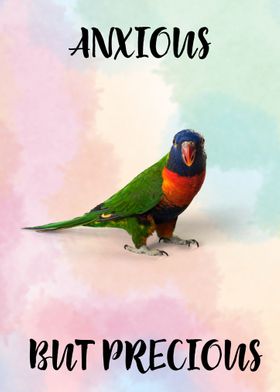 Rainbow Lorikeet