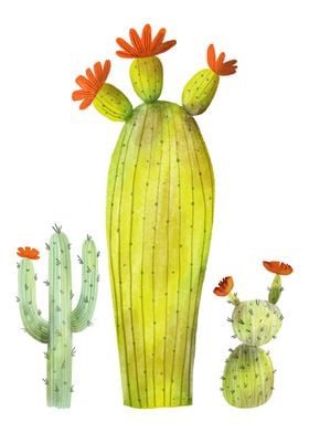 Cactus Illustration 