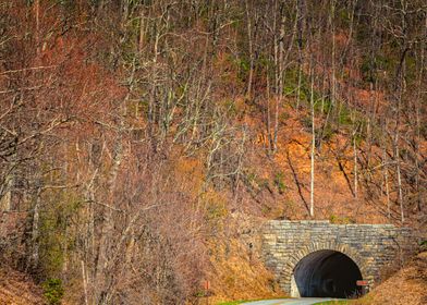 Blue Ridge Parkway View