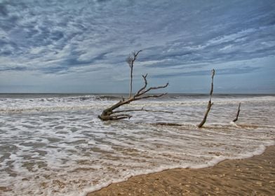 Edisto Beach