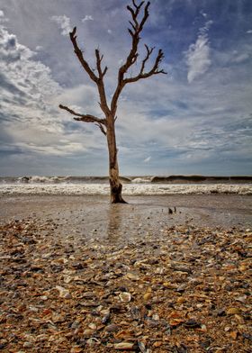 Edisto Beach Carolina