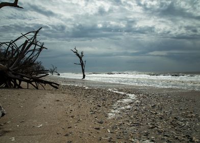 Edisto Beach S Carolina