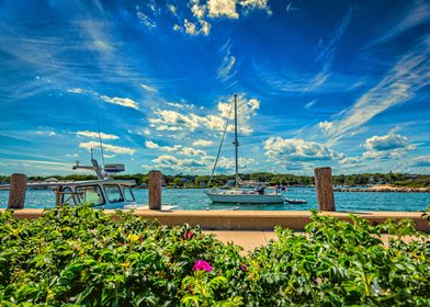 Oak Bluffs Harbor 