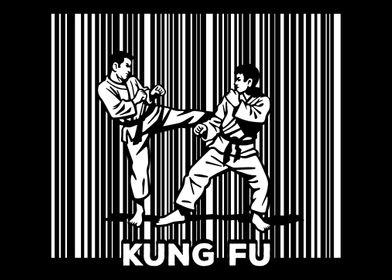 Kung Fu Martial Arts