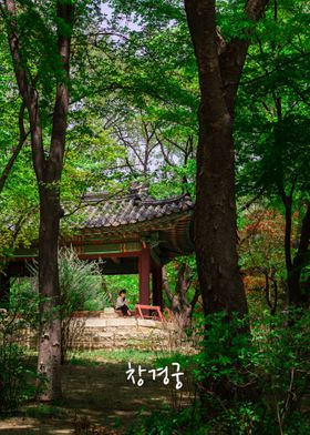 Changgyeonggung park II