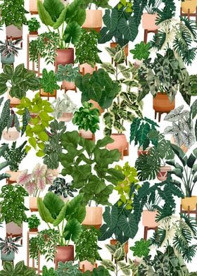 Houseplants 