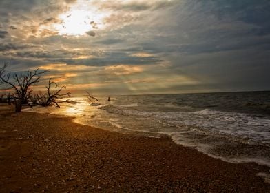 Edisto Island Carolina