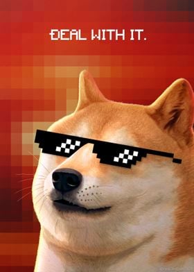 Deal With It Doge