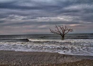 Edisto Island Carolina