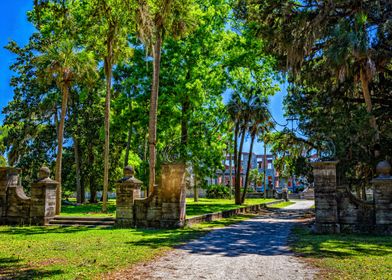 Cumberland Island Seashore