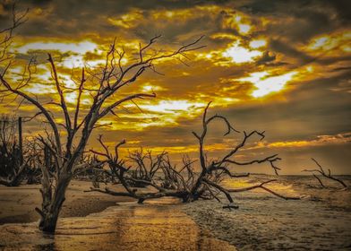 Edisto Island at Carolina