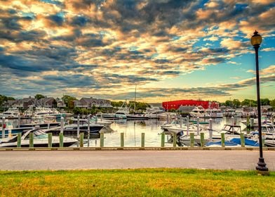 Falmouth Harbor Cape Cod