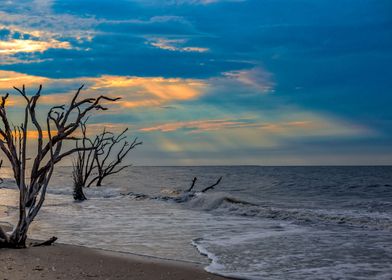 Edisto Island