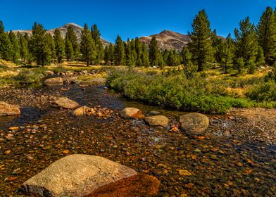 Mammoth Peak Dana Yosemite