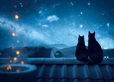 Cats looking at the stars
