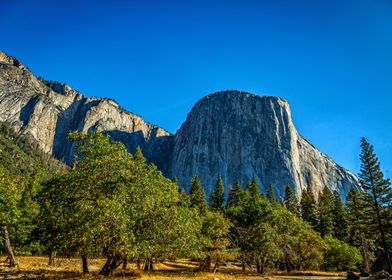 El Capitan from Cooks Park