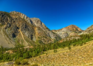 Tioga Pass Yosemite Park