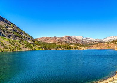 Ellery Lake  Yosemite Park