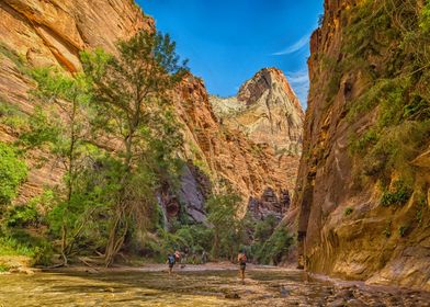 The Narrows Zion Park