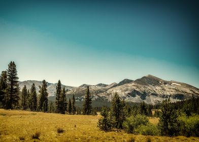 Mammoth Peak Yosemite Park