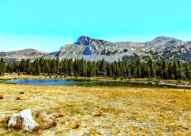 Mount Dana Yosemite Park