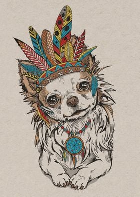 Chihuahua