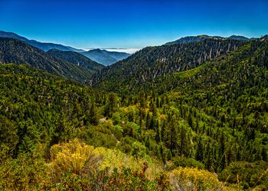 Big Bear Creek Valley