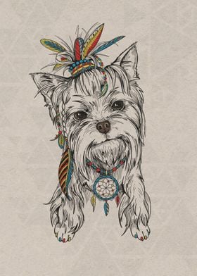 Shih Tzu