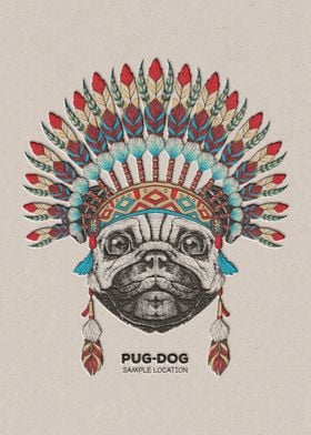 Pug Dog