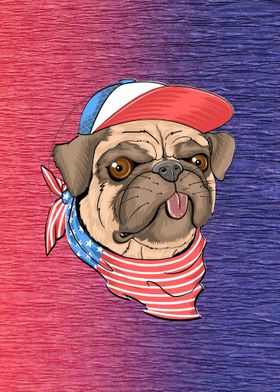 American Dog