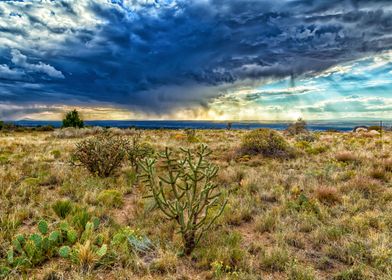 Virga in the desert