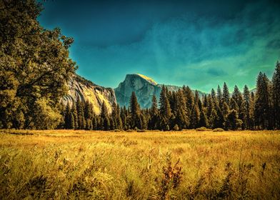 Half Dome Cooks Meadow