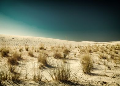 White Sands Monument