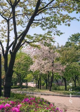 Namsan Park