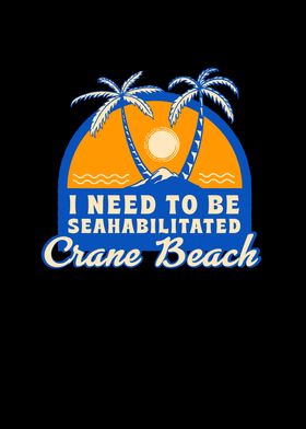 Crane Beach Summer Funny