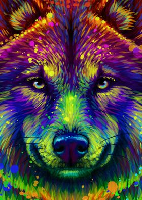 Colorful Wolf