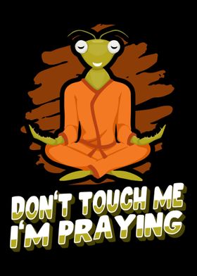 Kung Fu Martial Arts