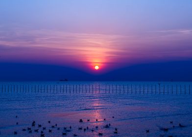 Sunset by the Beach