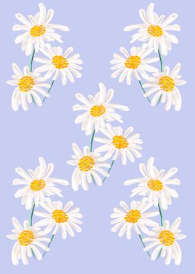 Daisies