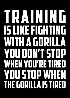 Fighting With Gorilla