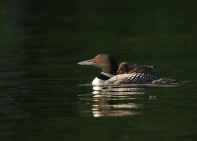 Mother and sweet baby